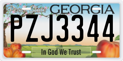 GA license plate PZJ3344