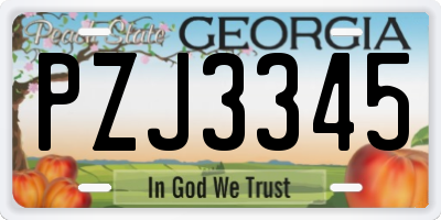 GA license plate PZJ3345