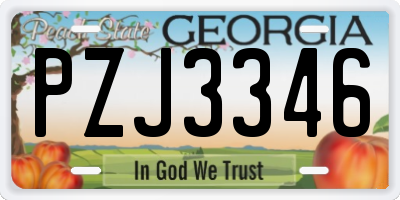 GA license plate PZJ3346