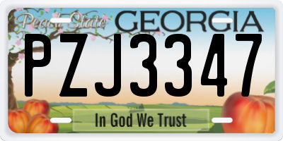 GA license plate PZJ3347