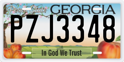 GA license plate PZJ3348