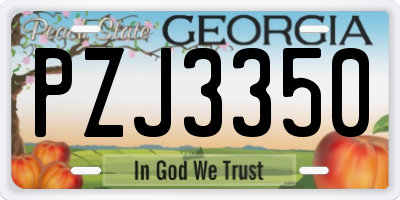 GA license plate PZJ3350