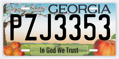 GA license plate PZJ3353