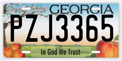 GA license plate PZJ3365