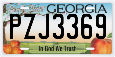 GA license plate PZJ3369