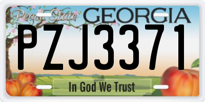 GA license plate PZJ3371