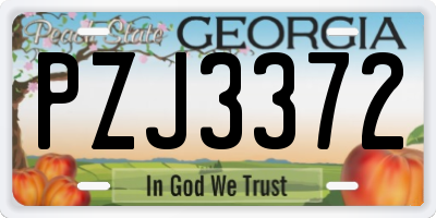 GA license plate PZJ3372