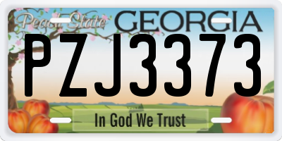 GA license plate PZJ3373
