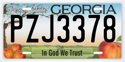 GA license plate PZJ3378