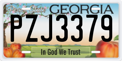 GA license plate PZJ3379