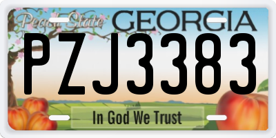 GA license plate PZJ3383