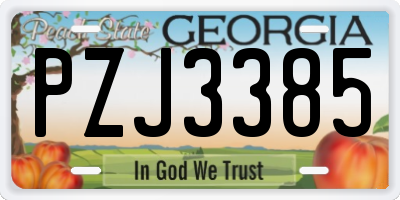 GA license plate PZJ3385