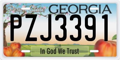 GA license plate PZJ3391
