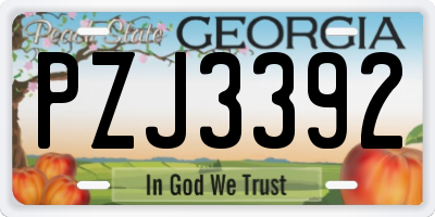 GA license plate PZJ3392