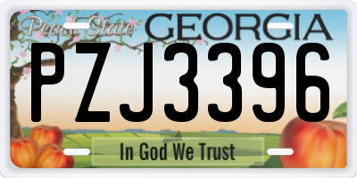 GA license plate PZJ3396