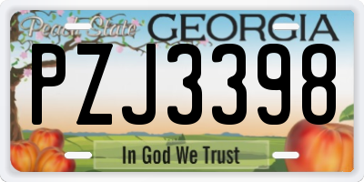 GA license plate PZJ3398