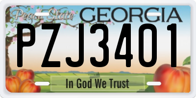GA license plate PZJ3401