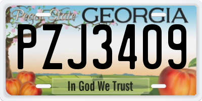 GA license plate PZJ3409