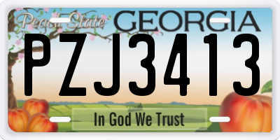 GA license plate PZJ3413