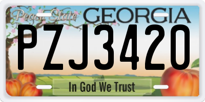 GA license plate PZJ3420