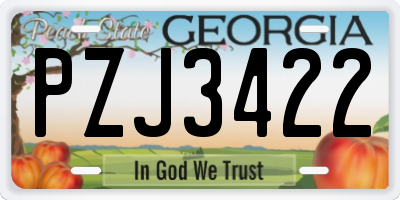 GA license plate PZJ3422
