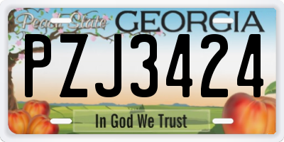 GA license plate PZJ3424