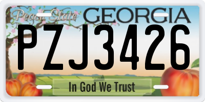 GA license plate PZJ3426