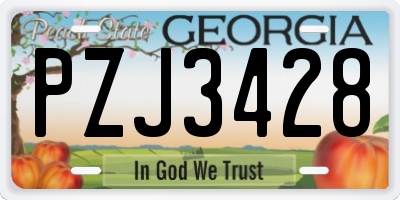 GA license plate PZJ3428