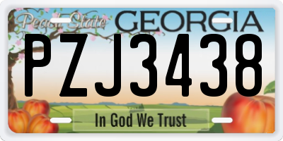 GA license plate PZJ3438