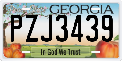 GA license plate PZJ3439