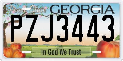 GA license plate PZJ3443