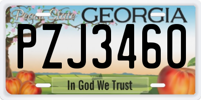 GA license plate PZJ3460