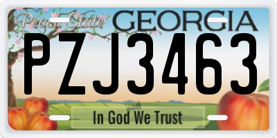 GA license plate PZJ3463
