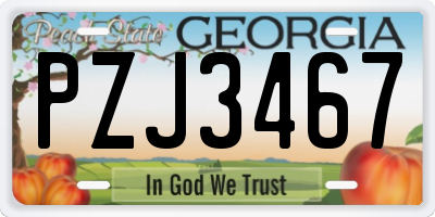 GA license plate PZJ3467