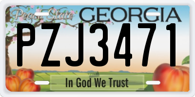 GA license plate PZJ3471