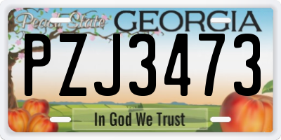 GA license plate PZJ3473
