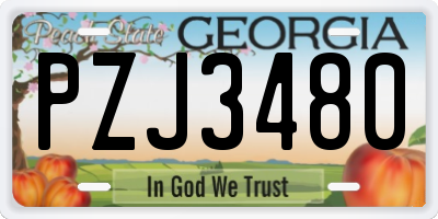 GA license plate PZJ3480