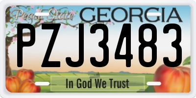 GA license plate PZJ3483