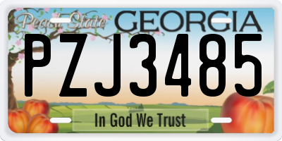 GA license plate PZJ3485