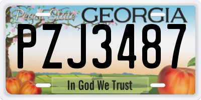 GA license plate PZJ3487