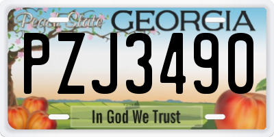 GA license plate PZJ3490