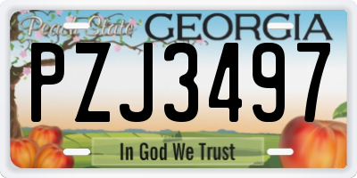 GA license plate PZJ3497