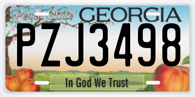 GA license plate PZJ3498