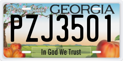 GA license plate PZJ3501