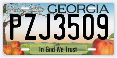 GA license plate PZJ3509