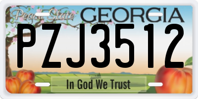 GA license plate PZJ3512