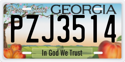 GA license plate PZJ3514