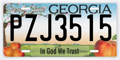 GA license plate PZJ3515