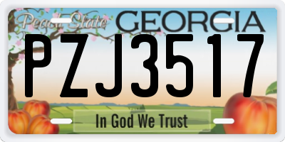 GA license plate PZJ3517