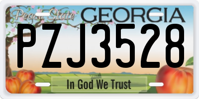 GA license plate PZJ3528